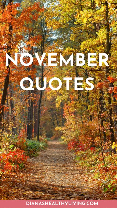 november quote november quotes quote about november quotes about november quotes for november quotes on november happy november quotes november month quotes november quote of the month quotes for the month of november november inspirational quotes november quotes for inspiration november sayings quotes about november month quotes on november month november quotes and sayings november motivational quotes quoe inspirational quotes for november november love quotes november 1st quotes november phra November Month Quotes, Happy November Quotes, November 1st Quotes, Quotes About November, November Sayings, Quotes For November, Happy New Month November, Quote Of The Month, November Love