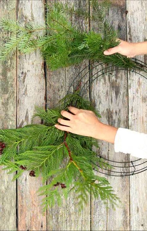 Christmas Wreaths Diy Evergreen, Flower Decoration Ideas, Natural Christmas Wreaths, Outdoor Christmas Wreaths, Fresh Christmas Wreath, Cedar Wreath, Handmade Christmas Wreaths, Fresh Wreath, Winter Wreath Diy