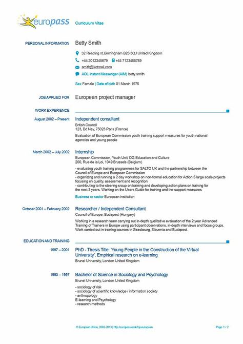 Europass CV © 2023 Free Download | European Resume Template Europass Cv, Cv Writing Tips, Curriculum Vitae Format, Cv Template Download, Cv Template Word, Cv Template Professional, Downloadable Resume Template, Download Resume, Template Word