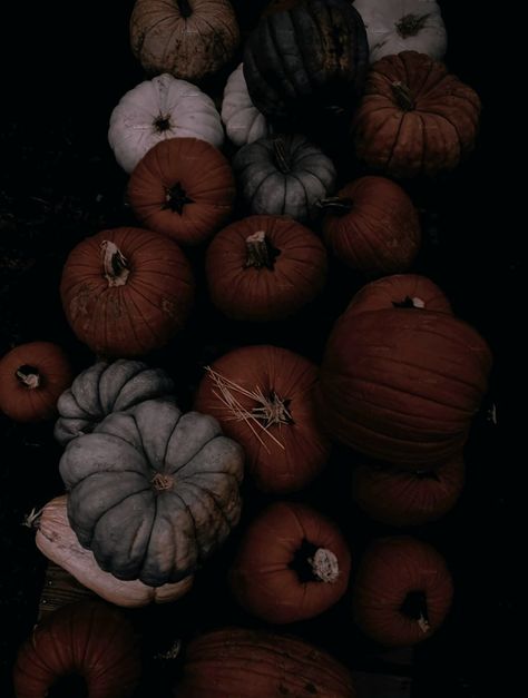 Ig Grid, Autumn Backgrounds, Pumpkin Wallpaper, The Boogeyman, Autumn Magic, Dark Autumn, October Halloween, Halloween Wallpaper Iphone, Halloween Aesthetic