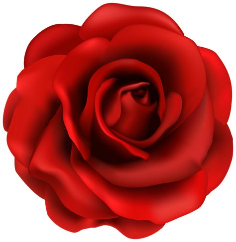 Rose Flower Png, Rosé Png, Rose Clipart, Rose Illustration, Rose Images, Red Rose Flower, Rose Pictures, Flower Clipart, Flower Clip