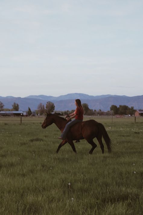 Maia Aesthetic Core, Drawing In Nature Aesthetic, Jackson Hole Aesthetic, Country Athestic, Cottagecore Cowgirl Aesthetic, Cow Girl Aesthetic, Horse Riding In The Woods, Summer Horse Aesthetic, Horses In Pasture