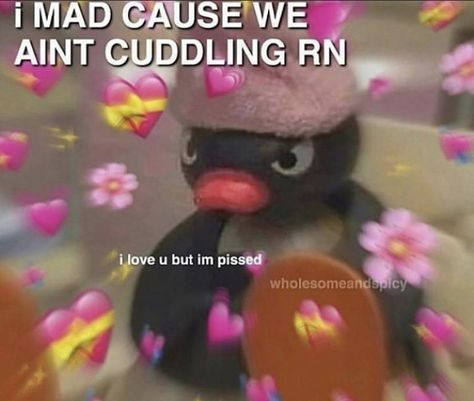 Cuddling Meme, Cuddle Pictures, I Miss My Boyfriend, Flirty Memes, Funny Couples Texts, I Want To Cuddle, Love You Meme, Couple Memes, Relatable Crush Posts