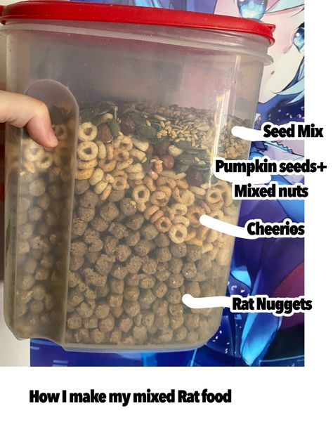 Pet Rat Food List, Rat Food Mix Recipe, Homemade Rat Food Recipes, Dig Box For Rats, Pet Rats Cages, Rat Food Recipe, Pet Rats Cages Diy, Pet Rat Tips, Diy Rat Enrichment