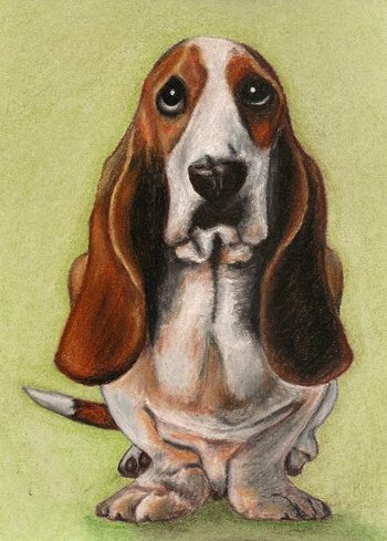 2016 TOP Decor animal painting - Basset Hound dog OIL painting---100% handpainted art 36"-- accept custom dog painting Basset Hound Art, Dog Breed Art, Puppy Art, Dog Sketch, Basset Hound Dog, Bassett Hound, Dog Artwork, Basset Hounds, Top Decor