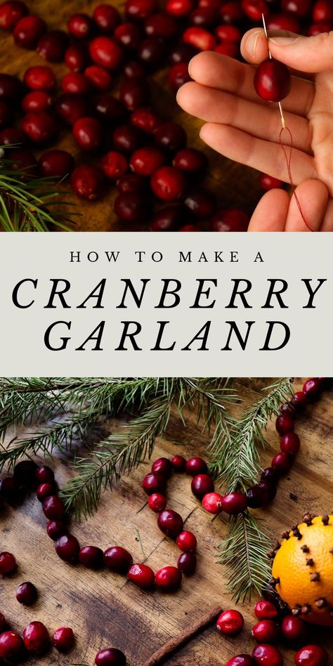 a woman strings cranberries to make a festive garland Christmas Tree Cranberry Garland, Nature Garland Diy, Dried Garland Christmas, Christmas Tree Cranberries, Cranberry Crafts Christmas, Cranberry Decorations Christmas, How To Dry Cranberries For Garland, Handmade Holiday Decor, Crafts With Cranberries