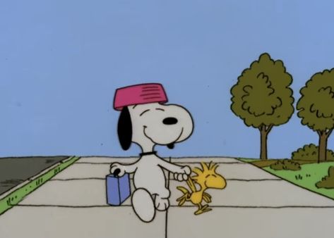 Snoopy Reaction Pics, Woodstock And Snoopy, Woodstock Snoopy, Woodstock Peanuts, Baby Snoopy, Snoopy Cartoon, Snoopy Funny, Snoopy Images, Snoopy Wallpaper