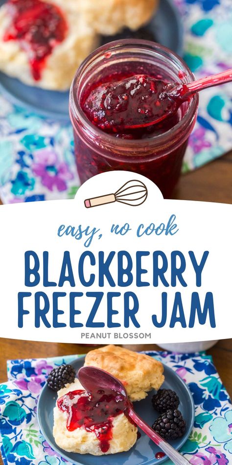 Seedless Blackberry Freezer Jam Recipe, Mcp Pectin Freezer Jam Recipe, Easy Freezer Jam Recipes, Blackberry Freezer Jam Easy, How To Make Blackberry Jam, Blackberries Recipes Easy, Black Raspberry Freezer Jam Recipe, Blackberry Jam Recipe With Pectin, Blackberry Preserves Recipe