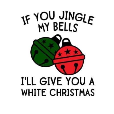 Silly Christmas Quotes, Christmas Flirty Quotes, Inappropriate Christmas Humor, Dirty Christmas Jokes, Funny Christmas Sayings, Happy New Year Funny, Funny Flirting Quotes, Funny Christmas Presents, Funny Christmas Pictures