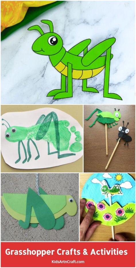 Grasshopper Crafts & Activities for Kids - Kids Art & Craft Grass Hopper Craft Preschool, The Ant And The Grasshopper Activities, Grasshopper Preschool Activities, Grasshopper Art Preschool, Grasshopper Craft Preschool, Bug Storytime, Grasshopper Crafts, Grasshopper Craft, Chrysalis Craft