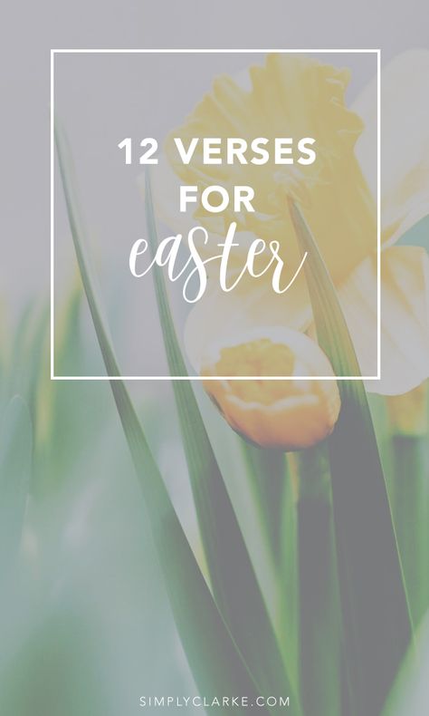 Easter Quotes Christian, Scriptures Kjv, Easter Verses, Happy Resurrection, Easter Bible Verses, Funny Easter Eggs, Better Marriage, Easter Activities For Kids, Easter Quotes