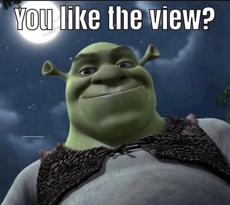 Shrek Aesthetic Cute, Shrek Funny, Shrek Memes, Weird Images, Whatsapp Wallpaper, Gave Up, Funny Profile Pictures, Cartoon Icons, Funny Reaction Pictures