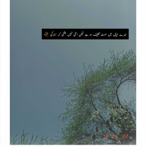 Urdu Quotes and poetry.Aesthatics for whatsapp status.Save and Share For Whatsapp Status, Urdu Lines, Urdu Quotes, Urdu Poetry, Highway Signs, Poetry, Quotes, Quick Saves