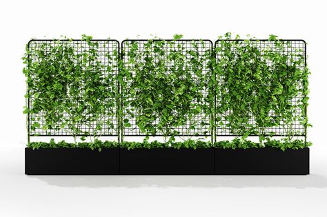 helen kontouris's botanical planter screens invite nature into the home Wall Fence, Self Watering Planter, House Plants Decor, Roof Garden, Cafe Design, Green Wall, Vertical Garden, 인테리어 디자인, Plant Decor