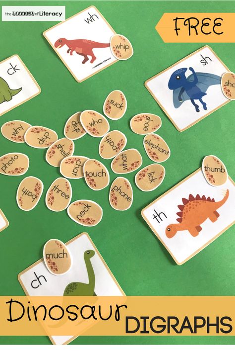 Grab our FREE Printable Dinosaur Digraph Activity! This literacy center is great for kindergarten students! Kindergarten Dinosaur Activities, Dinosaur Phonics Preschool, Dinosaur Kindergarten Activities, Dinosaur Activities Kindergarten, Dinosaur 1st Grade Activities, Dinosaur Phonics, Kindergarten Dinosaur Unit, Dinosaur Activities First Grade, Dinosaur Kindergarten Activities Free Printables