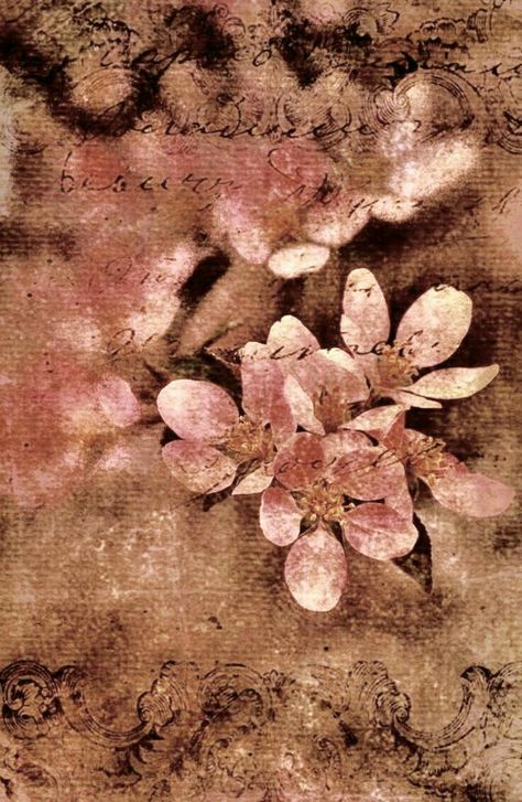 Pink Academia Aesthetic, Downtown Autumn, Farmhouse Colors, Brown Cottage, Pink Bg, Cheetah Print Wallpaper, Farm House Colors, Rosé Brown, Brown Flowers