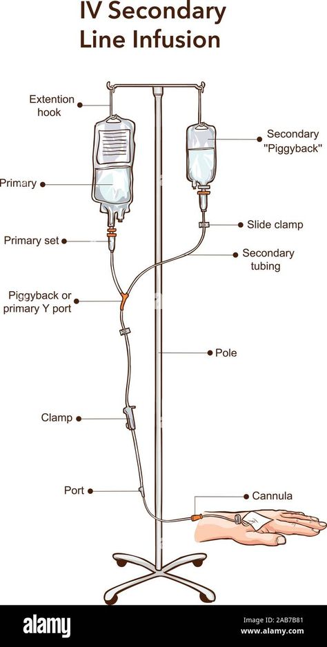 Nursing Iv, Intravenous Drip, Iv Line, Iv Pole, Arm Drawing, Central Line, Iv Infusion, Iv Fluids, Seasons Posters