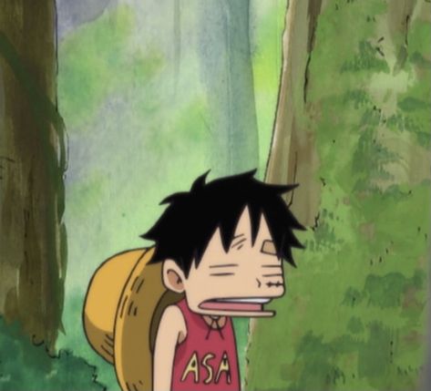 Luffy Low Quality, Baby Luffy, Latina Fits, Anime Meme Face, Informative Videos, رورونوا زورو, One Piece Photos, One Piece Meme, One Piece Funny