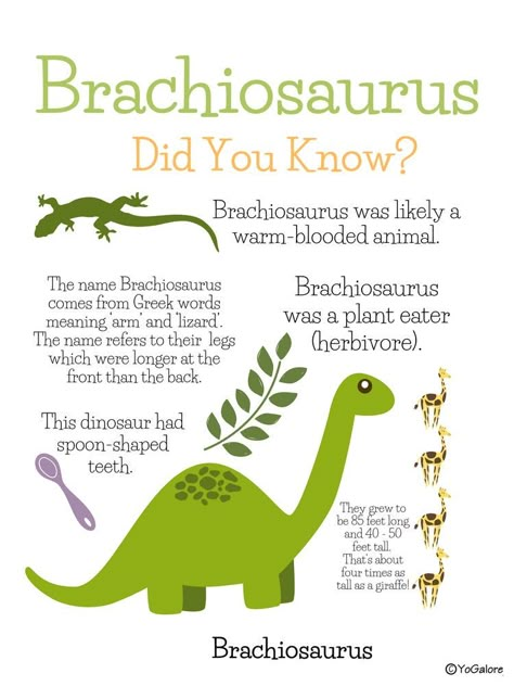 Dinosaur Facts For Kids, Dinosaur Unit Study, Dinosaur Week, Science Report, Dinosaur Worksheets, Dinosaur Lesson, Dinosaur Theme Preschool, Dinosaur Activities Preschool, Dino Theme