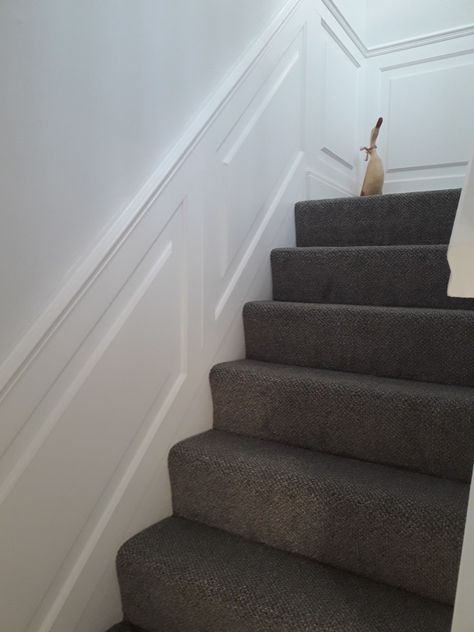 Two shades of grey, pale grey walls teamed with white wood and darker carpet. Dark Carpet Staircase, Dark Grey Carpet Stairs, Grey Carpet Beige Walls, Dark Carpet Stairs, White Walls Grey Carpet, Upstairs Carpet, Grey Carpet Hallway, Grey Stair Carpet, Basement Staircase