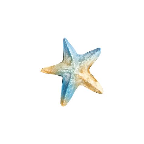 Starfish Clipart, Watercolor Starfish, Mermaid Phone, Beach Wallpaper Iphone, Beach Wall Collage, Beach Icon, Screen Icon, Summer Icon, Insta Icon