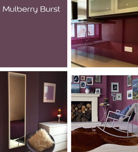 Dulux Mulberry Burst Paint Color - Interiors By Color Mulberry Wall Paint, Dulux Mulberry Burst, Dulux Purple Paint, Mulberry Bedroom Ideas, Mulberry Paint Color, Mulberry Bedroom, Bedroom Wall Paint Colors, Purple Dining Room, Burgundy Walls