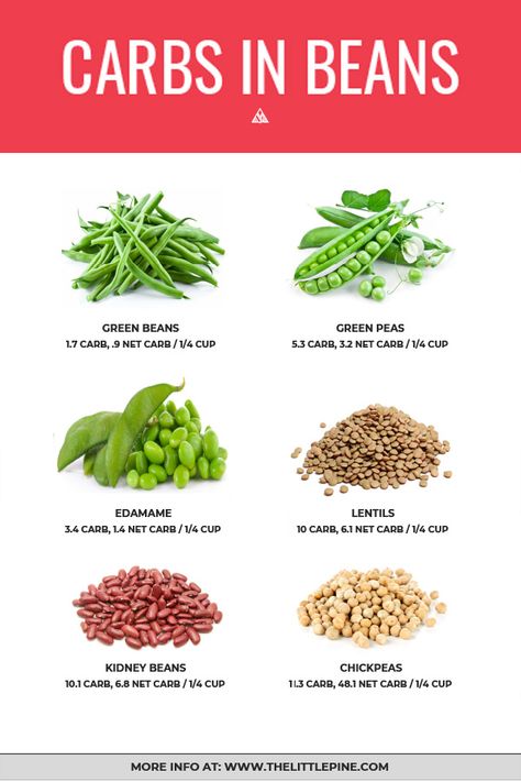 *NEW* There are actually a whole variety of beans that are amazing, high-fiber, low carb foods, and you guys, we need their creamy deliciousness in our lives. #lowcarbbeans #ketobeans via @https://www.pinterest.com/thelittlepine Low Carb Beans, Low Carb Foods, Best Diet Foods, Baking Powder Uses, Low Carb Dessert, Meal Preparation, Ketogenic Diet Meal Plan, Carb Foods, Best Diet Plan