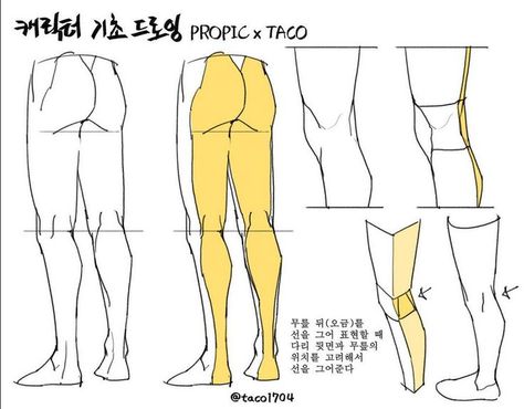 when drawing the dent behind the knee, consider the location of the knees before drawing the line which defines the form. Taco Drawing, Leg Reference, Leg Anatomy, Drawing Legs, 얼굴 드로잉, Anatomy Tutorial, Human Anatomy Drawing, Body Drawing Tutorial, Manga Drawing Tutorials