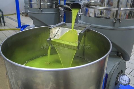 Olive Press, Homemade Oil, Virgin Olive Oil, Preserving Food, Extra Virgin, Extra Virgin Olive Oil, Cotton Candy Machine, Food Storage, Olive Oil