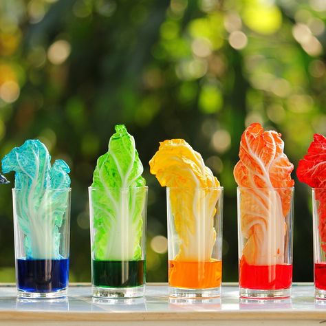 Rainbow Experiment, Kitchen Science Experiments, Kitchen Science, Experiments Kids, At Home Science Experiments, Science Club, Kid Experiments, Diy Science, Rainbow Food