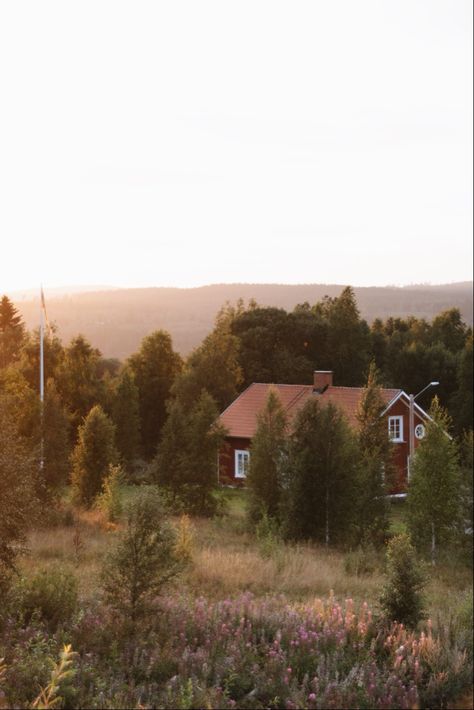 Swedish Forest Aesthetic, Swedish Cottage Aesthetic, Swedish Summer Cottage, Forest Living Aesthetic, Summer House Sweden, Rural Life Aesthetic, Sweden Summer Aesthetic, Sweden Aesthetic Summer, Swedish Mountains