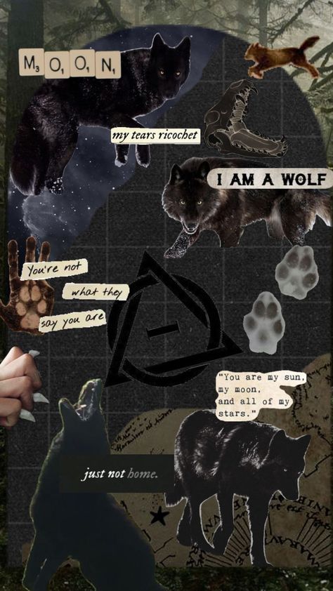 Black wolves 🖤🖤#therian #blackwolf #wolf Wolf Therian, Black Wolves, Light Grunge, Wolf Background, Maybe In Another Life, Emo Wallpaper, Wolf Wallpaper, Simple Phone Wallpapers, Pagan Witch