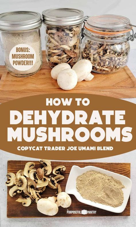 Dehydrate mushrooms and make a mushroom powder seasoning that elevates the fungus into so much more! Learn how to adapt a copycat Trader Joe's Umami Seasoning to your tastes! Dehydrate Mushrooms, Dehydrating Mushrooms, Dehydrating Food Storage, Mushroom Guide, Food Dehydration, Dehydrating Food, Dehydrated Vegetables, Canning Food Preservation, Summer Foods