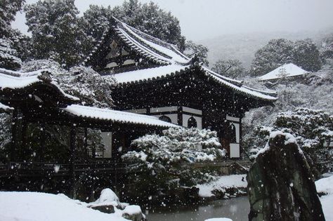 winter Dark Temple, Winter In Japan, Japan Winter, Japanese Music, Japan Aesthetic, Aesthetic Japan, Winter Aesthetic, Winter Photography, Nature Aesthetic