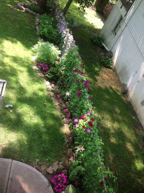 Clematis all up what used to be a very ugly chain link fence Planting Along Chain Link Fence, Chain Link Fence Flowers, Clematis On Chain Link Fence, Landscape Along Chain Link Fence, Chain Link Fence Landscaping Ideas, Chain Link Fence Decor, Chain Link Fence Ideas Cover Up Plants, Garden Chain Link Fence, Make Chain Link Fence Pretty