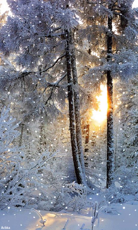 Štědrý Den, Beautiful Winter Pictures, Winter Christmas Scenes, Beautiful Winter Scenes, Christmas Scenery, Winter Szenen, Winter Images, Winter Love, Airbrush Art