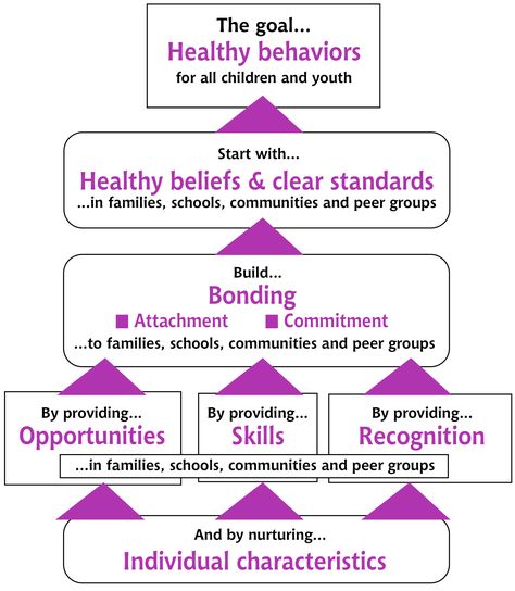 Protective Factors, Genius Hour, Youth Work, Peer Group, School Social Work, Life Learning, Development Activities, Social Development, Assessment Tools