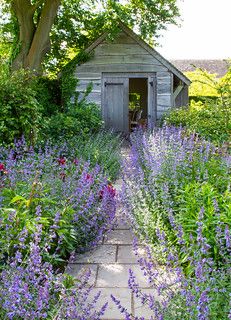 Small Cottage Garden Ideas, Country Garden Decor, Cottage Garden Design, Cottage Garden Plants, Vintage Garden Decor, Backyard Inspiration, Small Cottage, Garden Cottage, Country Gardening