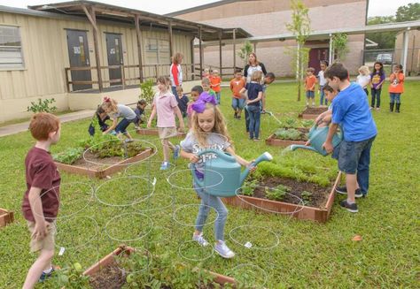 School Gardens Elementary, Garden Design Architecture, School Garden Club, Classroom Garden, Outside School, Plants Kindergarten, K12 School, School Environment, Pta School