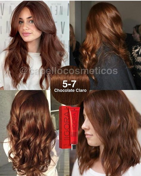 Igora Hair Color, Chocolate Brown Hair Color Ideas, Hair Color Swatches, Brown Hair Color Ideas, Chocolate Brown Hair Color, Red Hair Inspo, Brown Hair Looks, Hair Color Formulas, Ginger Hair Color