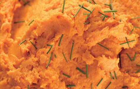 Garnet Yam Purée Recipe | Bon Appétit Mashed Yams, Whipped Sweet Potatoes, Yams Recipe, Potato Ricer, Honey Recipes, Pureed Food Recipes, Fresh Chives, Cinnamon Buns, Reddish Brown