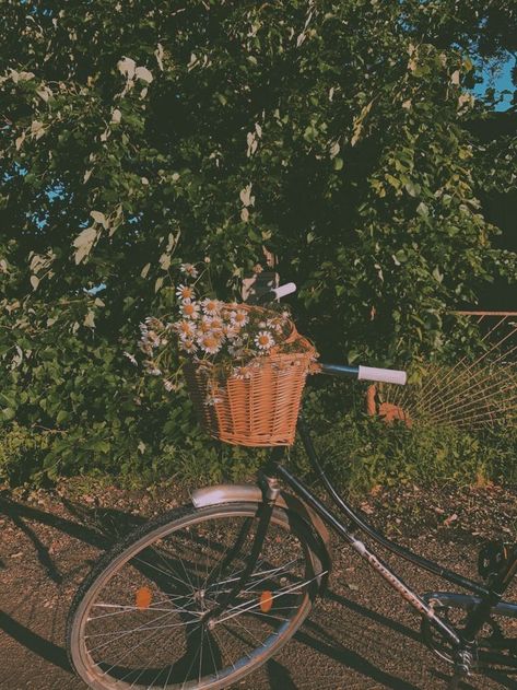 Bike Flowers, You're On Your Own Kid, Flowers Daisies, Chapter 1, Vintage Summer, Summer Vibes, Bicycle, Bike, Flowers