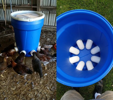 Make your own - No waste - 5 gallon (25# feed) bucket feeder for about $3 | Page 124 | BackYard Chickens - Learn How to Raise Chickens Diy Chicken Feeder, Chicken Feeder Diy, Diy Bucket, Backyard Chicken Coop Plans, Diy Chicken Coop Plans, Chicken Feeders, Backyard Chicken Farming, Chicken Feeder, Diy Chicken