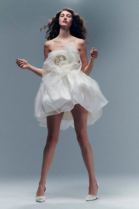 Black Tie Gowns, Danielle Frankel, Cocktail Outfit, Boho Beauty, Bubble Skirt, Wedding Dress Trends, Bridal Boutique, Vera Wang, Wedding Guest Dress