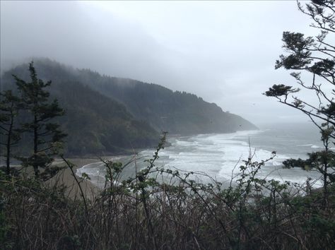 Foggy Coast Aesthetic, Foggy Coast, Oregon Coast Aesthetic, After Life, Oregon Coast, Nature Aesthetic, Flowers Nature, Pretty Places, Mother Earth