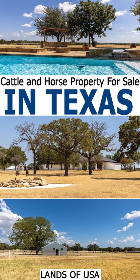 If peaceful country living is your thing, you will love this oasis only minutes from Stephenville Texas! Bring your cattle and horses and enjoy all that this ranch has to offer. The ranch home is under a mini remodel and photos were not able to be taken at time of listing. However the backyard will provide you with an idea of how gorgeous this residence can be with great views to enjoy as well! #Texas #Land #Landforsale #Property #Realestate #Home #Build #Lot #Listing Stephenville Texas, Texas Land, Dream Property, Horse Property, Ranch Home, Land For Sale, The Ranch, Ranch House, Country Living