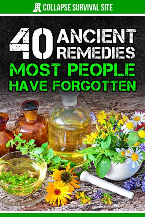 Before modern medicine, people had to rely on medicinal herbs and plants. Here are some ancient remedies we should all learn about. Medicinal Herbs And Their Uses, Medicinal Herbs And How To Use Them, Must Have Medicinal Herbs, Plants With Medicinal Purposes, Natural Abortive Herbs, Wild Lettuce, Valerian Root, Milk Thistle, Lemon Balm