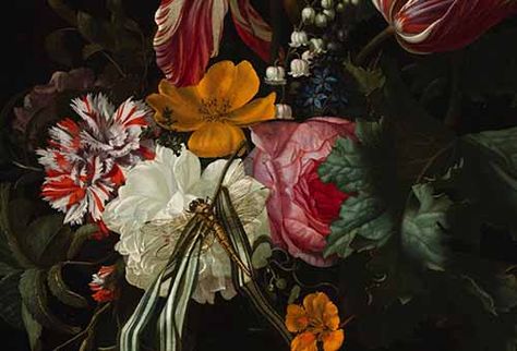 Cincinnati Art Museum - Cincinnati Art Museum Rachel Ruysch, Jan Van Huysum, Amsterdam Wallpaper, Dutch Still Life, Dutch Masters, Label Art, Dutch Golden Age, Still Life Flowers, Flowers Paintings