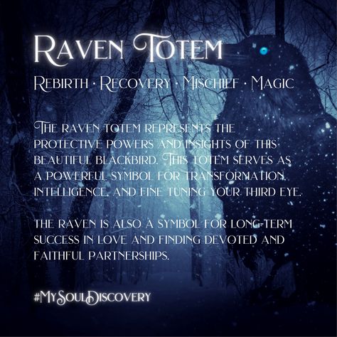 What Do Ravens Symbolize, Raven Totem Animal, What Does A Raven Symbolize, Meditation Signs, Raven Familiar, Raven Symbolism, Raven Quotes, Shaman Journey, Raven Spirit Animal