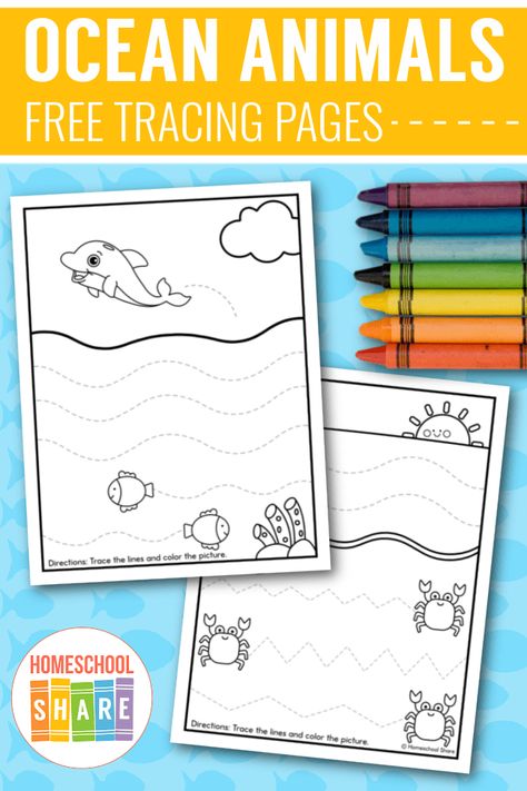 Ocean Tracing Preschool, Ocean Theme School, Ocean Prek, Preschool Ocean Activities, Ocean Preschool Activities, Habitats Preschool, Preschool Name Crafts, Animal Habitats Preschool, Ocean Themed Activities